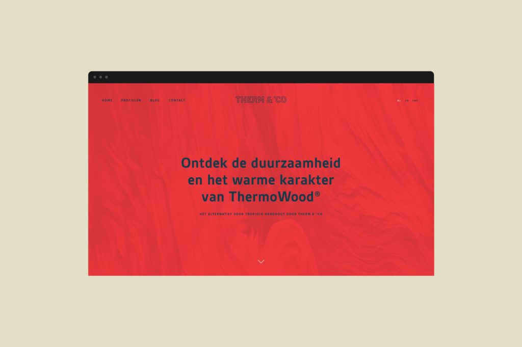 bedrijfswebsite, online catalogus, informatiearchitectuur, subsite, huisstijl, merkidentiteit, online branding.